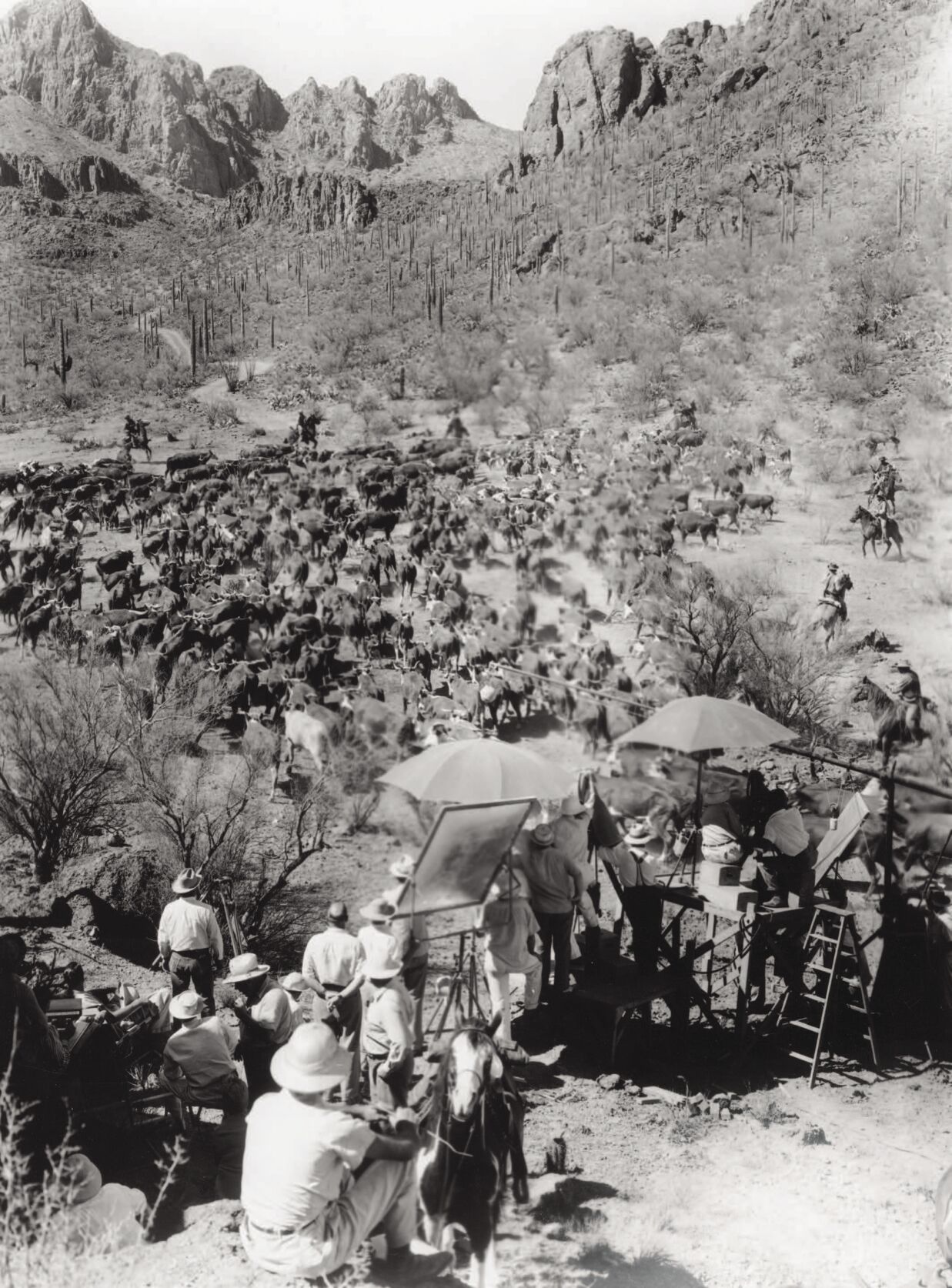 Movie_arizona.jpg